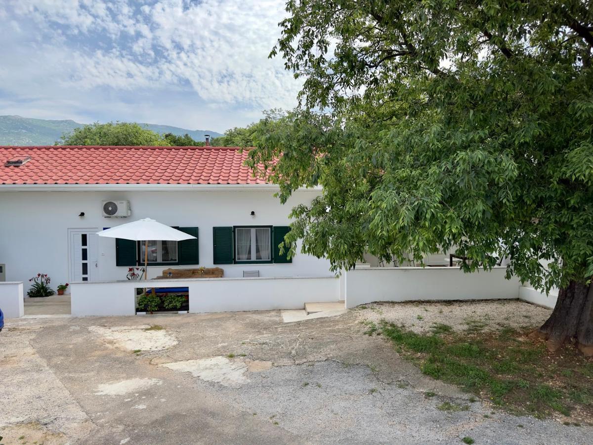 Matek Family & Studio Apartment Rovanjska Exteriör bild